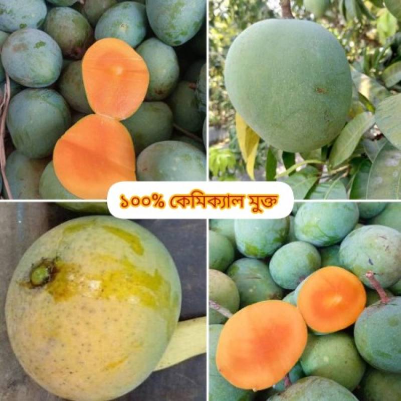 30 কেজি গোবিন্দভোগ আম 130 টাকা করে 3900 টাকা